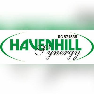 Havenhill Synergy Limited