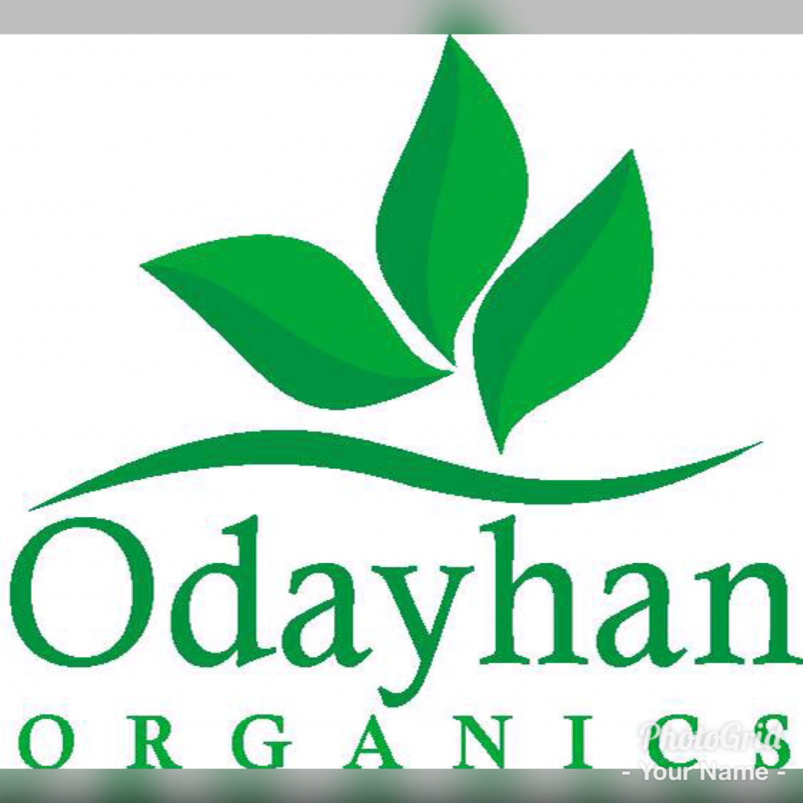 Odayhanorganics Coconut oil